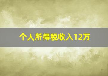 个人所得税收入12万