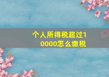 个人所得税超过10000怎么缴税