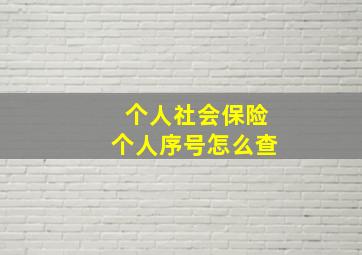 个人社会保险个人序号怎么查