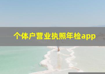 个体户营业执照年检app