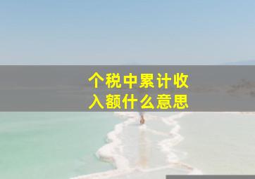 个税中累计收入额什么意思