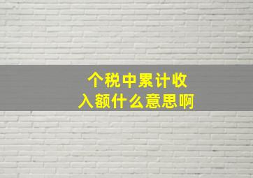 个税中累计收入额什么意思啊