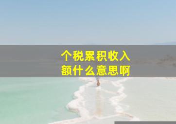 个税累积收入额什么意思啊