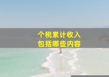 个税累计收入包括哪些内容