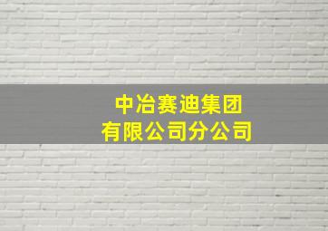 中冶赛迪集团有限公司分公司