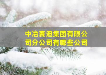 中冶赛迪集团有限公司分公司有哪些公司