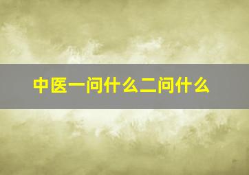 中医一问什么二问什么