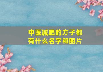 中医减肥的方子都有什么名字和图片