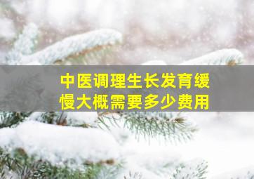 中医调理生长发育缓慢大概需要多少费用