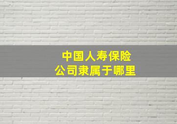 中国人寿保险公司隶属于哪里