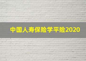 中国人寿保险学平险2020