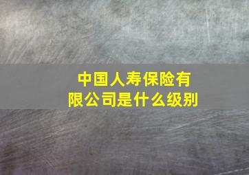 中国人寿保险有限公司是什么级别