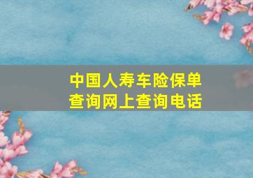 中国人寿车险保单查询网上查询电话