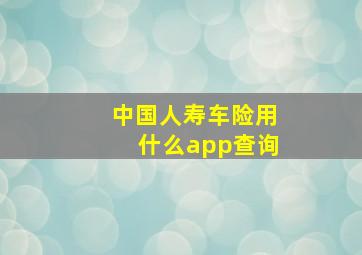 中国人寿车险用什么app查询