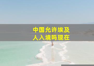 中国允许埃及人入境吗现在