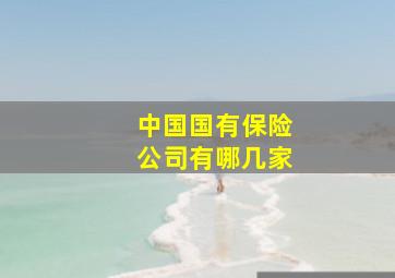 中国国有保险公司有哪几家