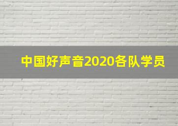 中国好声音2020各队学员