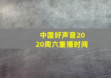 中国好声音2020周六重播时间