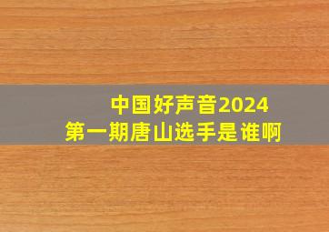 中国好声音2024第一期唐山选手是谁啊