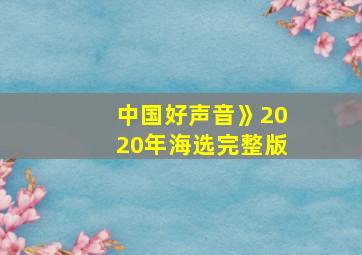 中国好声音》2020年海选完整版