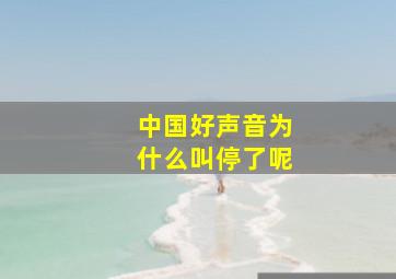 中国好声音为什么叫停了呢