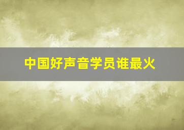 中国好声音学员谁最火