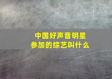 中国好声音明星参加的综艺叫什么