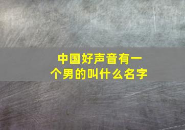 中国好声音有一个男的叫什么名字