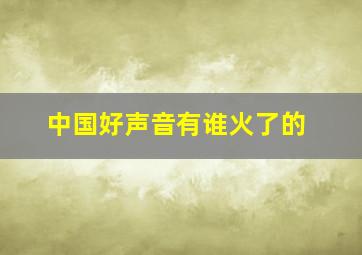 中国好声音有谁火了的