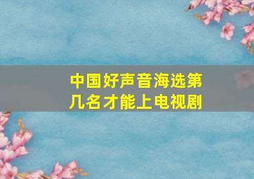 中国好声音海选第几名才能上电视剧