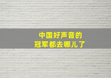 中国好声音的冠军都去哪儿了