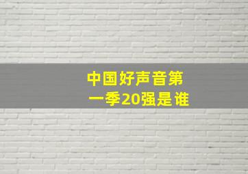 中国好声音第一季20强是谁