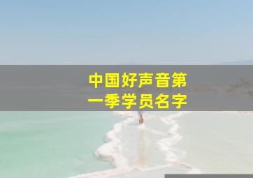 中国好声音第一季学员名字