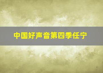 中国好声音第四季任宁