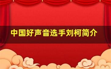 中国好声音选手刘柯简介