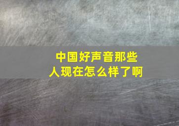 中国好声音那些人现在怎么样了啊