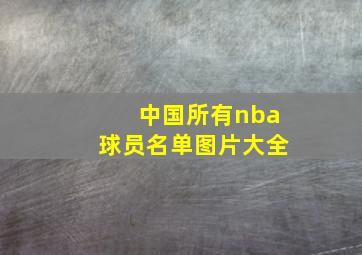 中国所有nba球员名单图片大全