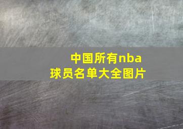 中国所有nba球员名单大全图片