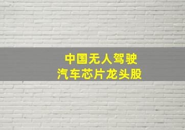 中国无人驾驶汽车芯片龙头股