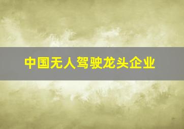 中国无人驾驶龙头企业