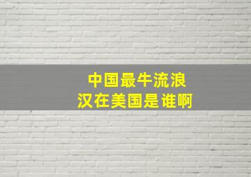 中国最牛流浪汉在美国是谁啊