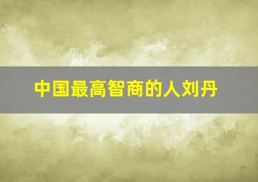 中国最高智商的人刘丹