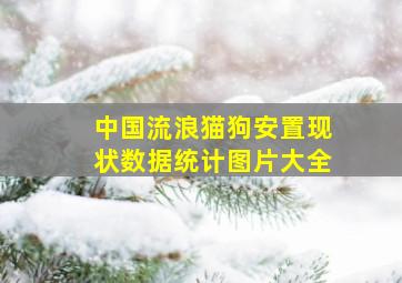 中国流浪猫狗安置现状数据统计图片大全