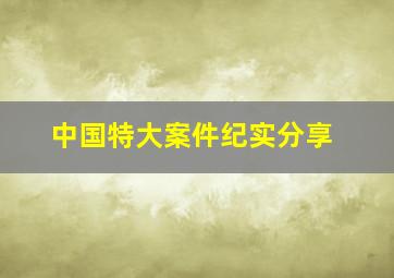 中国特大案件纪实分享