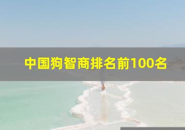 中国狗智商排名前100名