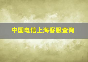 中国电信上海客服查询