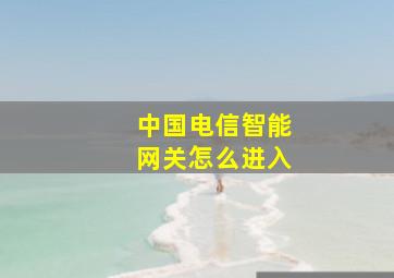 中国电信智能网关怎么进入