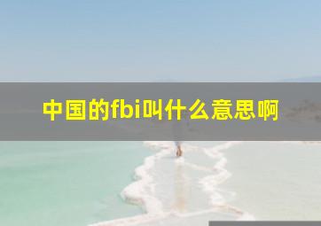 中国的fbi叫什么意思啊