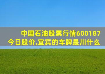 中国石油股票行情600187今日股价,宜宾的车牌是川什么