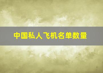 中国私人飞机名单数量